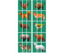 Puzzle covor - Animale sălbatice