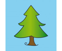 Săculeț - Pom conifer