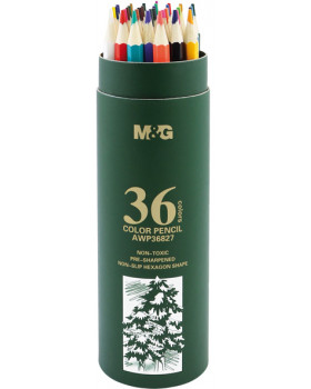 Creioane colorate hexagonale în tub - 36 buc