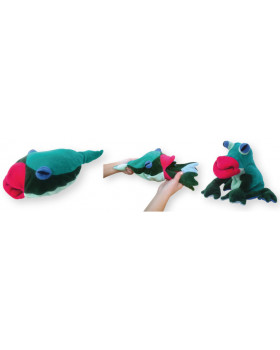 Evoluția marionetelor - din mormoloc - broască