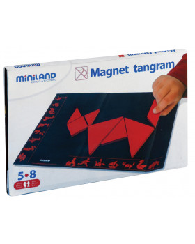 Tangram magnetic